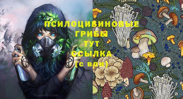 твердый Нязепетровск